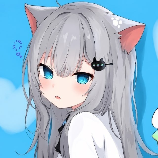 neko网调中心